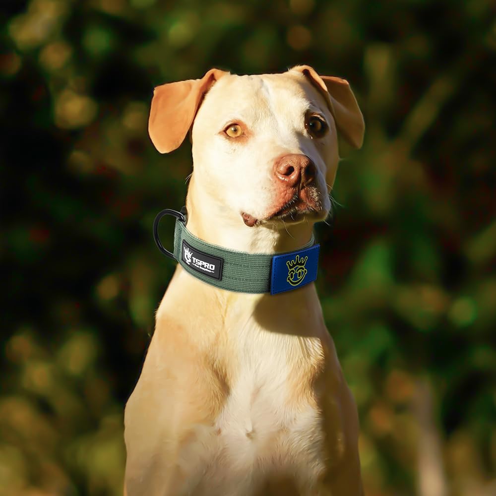 TSPRO green collar with USA flag patch for outdoor visibility and style.