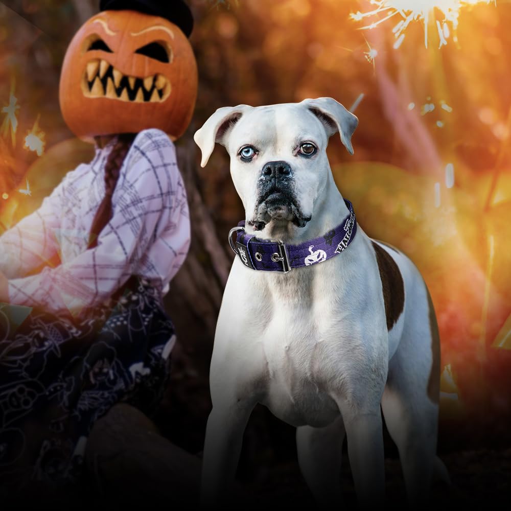 TSPRO durable polyester dog collar withstands daily wear and outdoor use