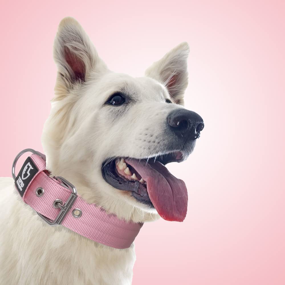 Easy-clean finish on TSPRO collar for quick after-outdoor cleanup.
