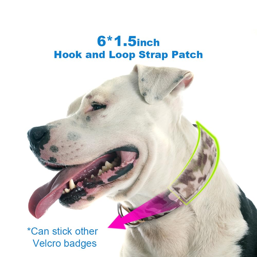 TSPRO Heavy-duty metal D-ring buckle provides reliable leash attachment.