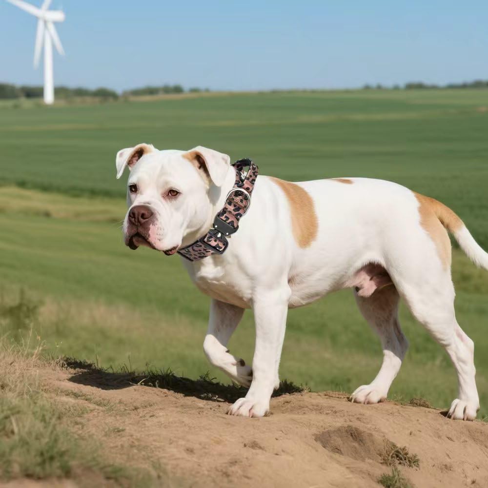 TSPRO Premium Dog Collar adjustable design ensures snug fit for medium to large dogs