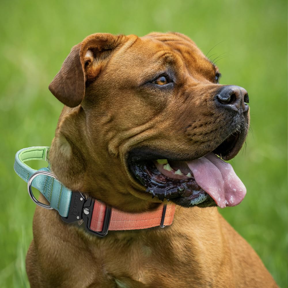 TSPRO durable polyester collar built for rugged outdoor adventures.