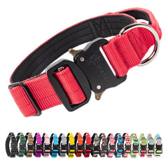 TSPRO premium dog collar with handle closeup showing secure control during daily walks