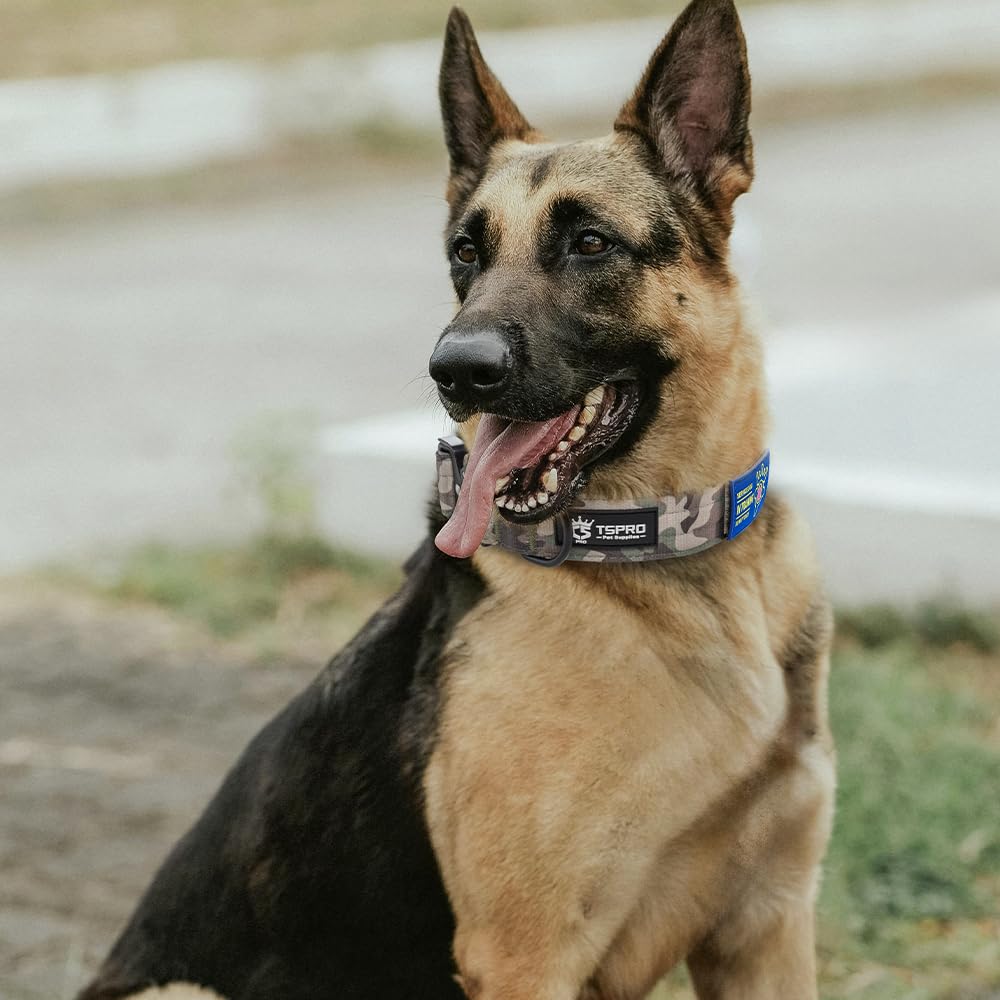 TSPRO Premium dog collar size-range tagging for versatile medium-to-large fit.