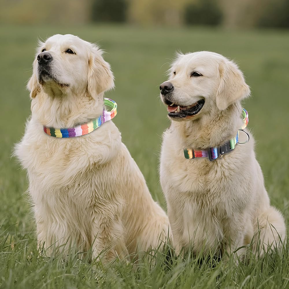 TSPRO tactical collar in walking scene emphasizing grip and reliability
