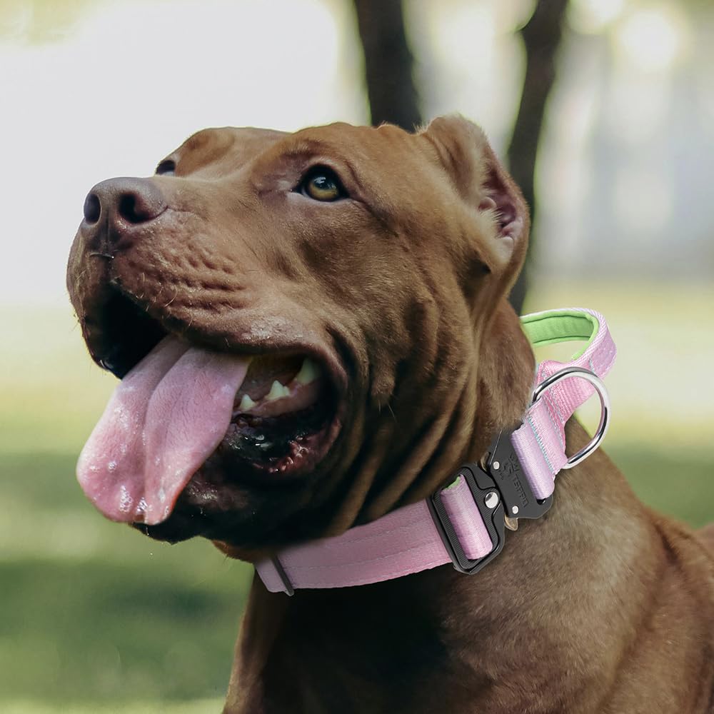 TSPRO Quality Assurance and durable design for pets and owners.