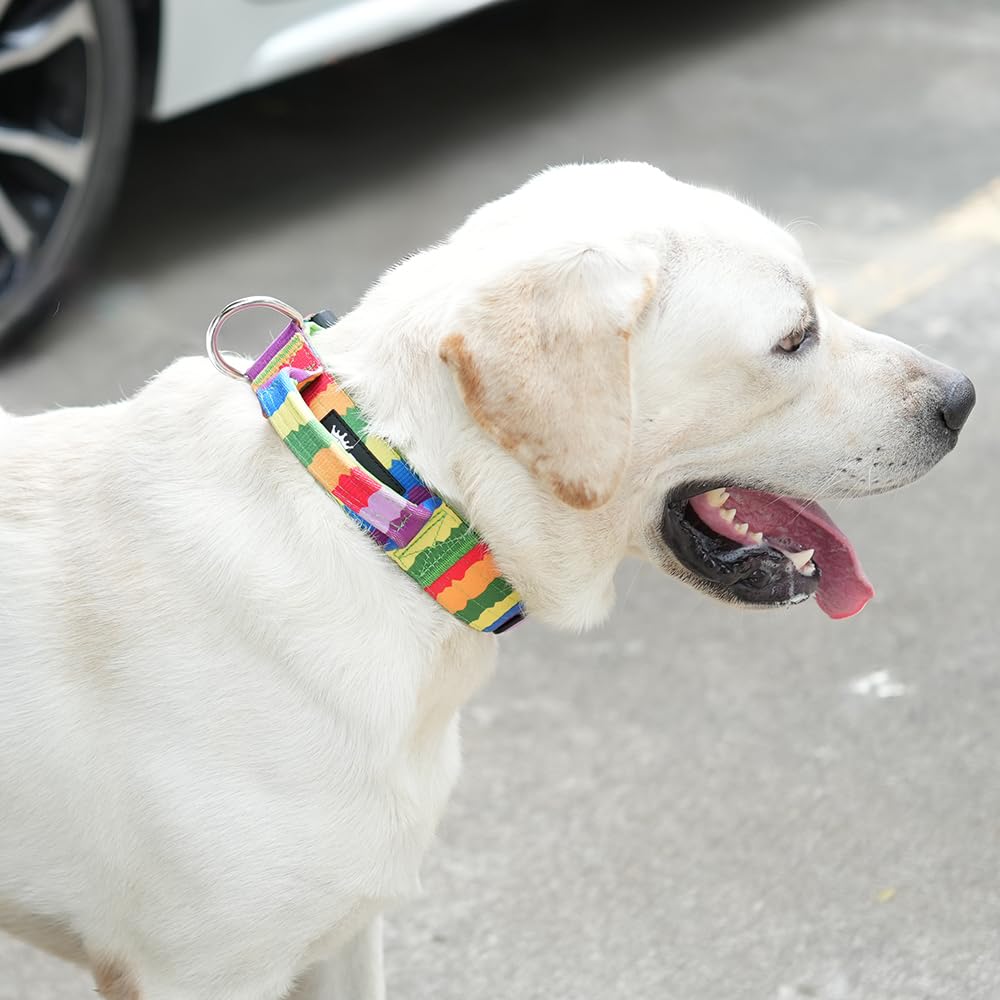 TSPRO adjustable collar for medium to large dogs, suitable from Mastiff to Husky.