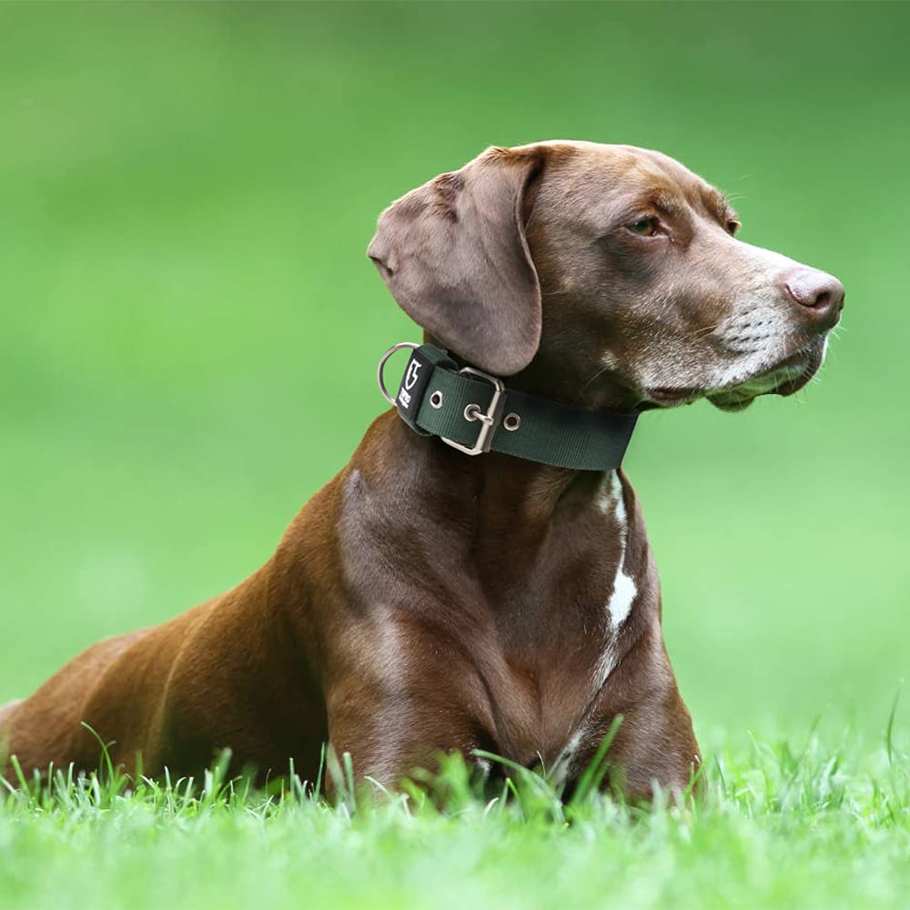 TSPRO tactical collar-size-range fits small to large dogs for versatile use.