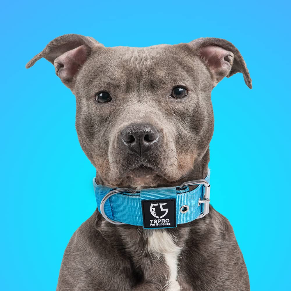 TSPRO blue tactical collar designed for daily use and outdoor activities.