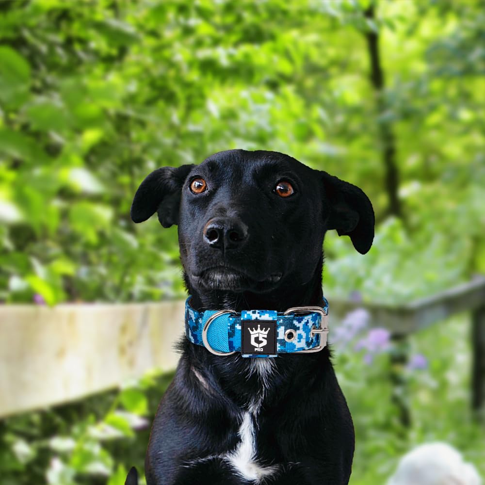 TSPRO tactical collar with leash attachment for dependable control.