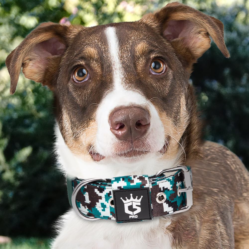 TSPRO outdoor-ready collar supports hiking, training, and daily adventures