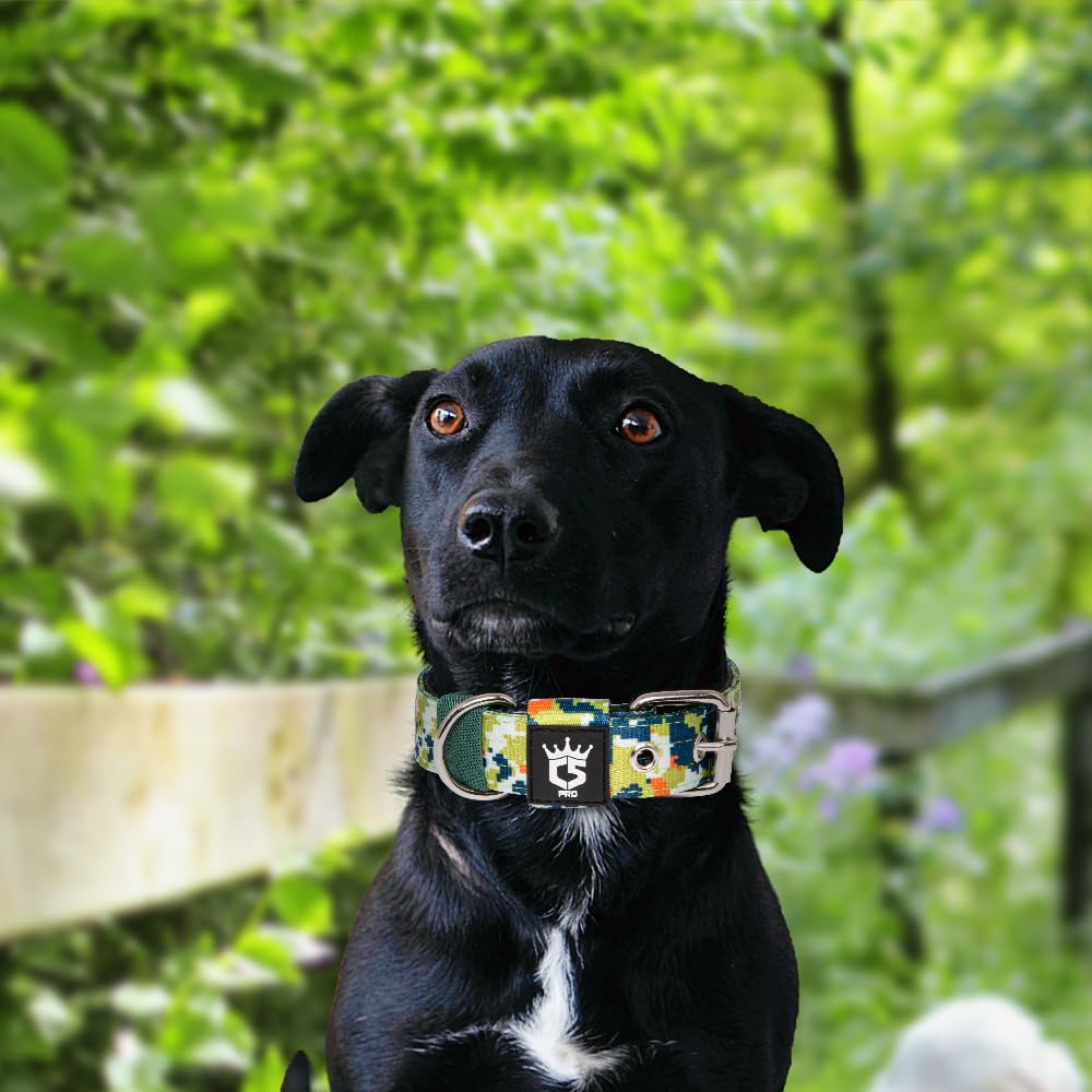 TSPRO tactical dog collar camo-green packaging highlights durability.