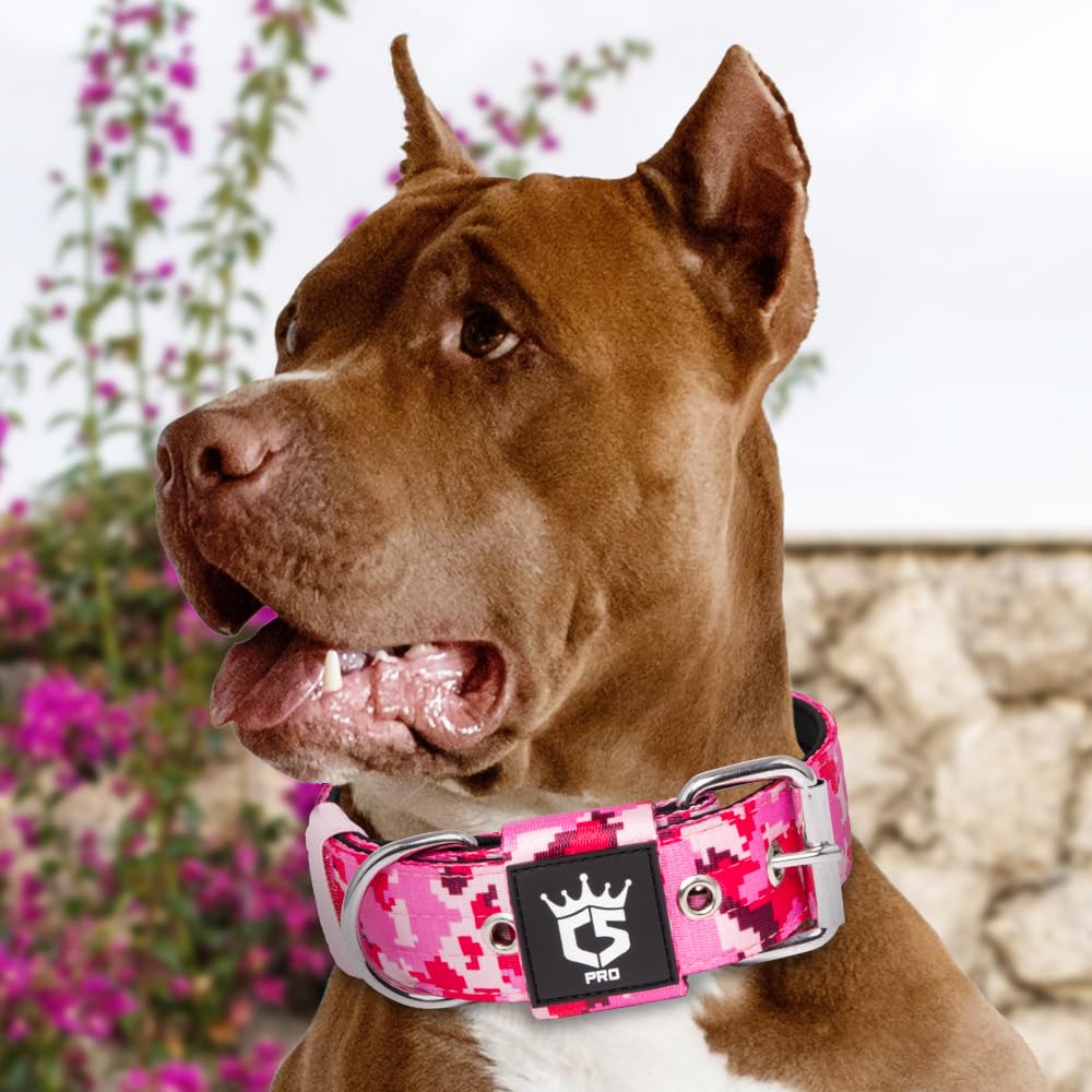 TSPRO camo pink tactical collar for medium to large dogs, durable outdoor-ready.