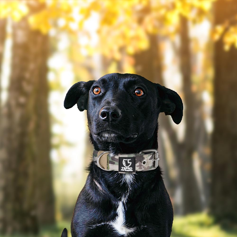 TSPRO everyday-wear collar supports hiking, running, and travel adventures.