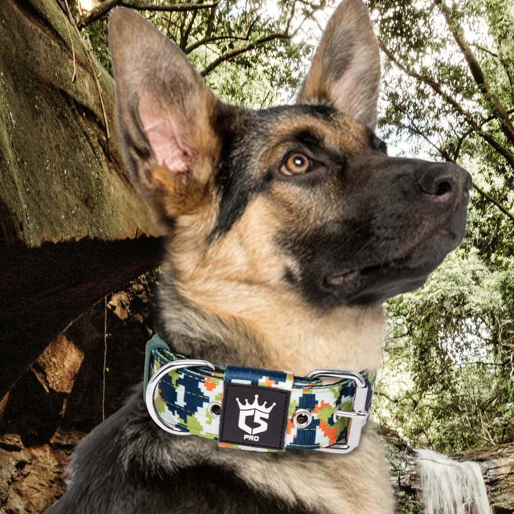 TSPRO Tactical Dog Collar in use during outdoor hike demonstrates durability.