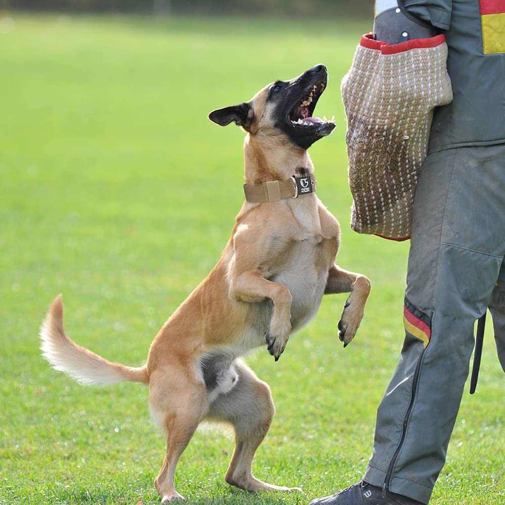 TSPRO Tactical Dog Collar Khaki color showcases rugged design for outdoor adventures.