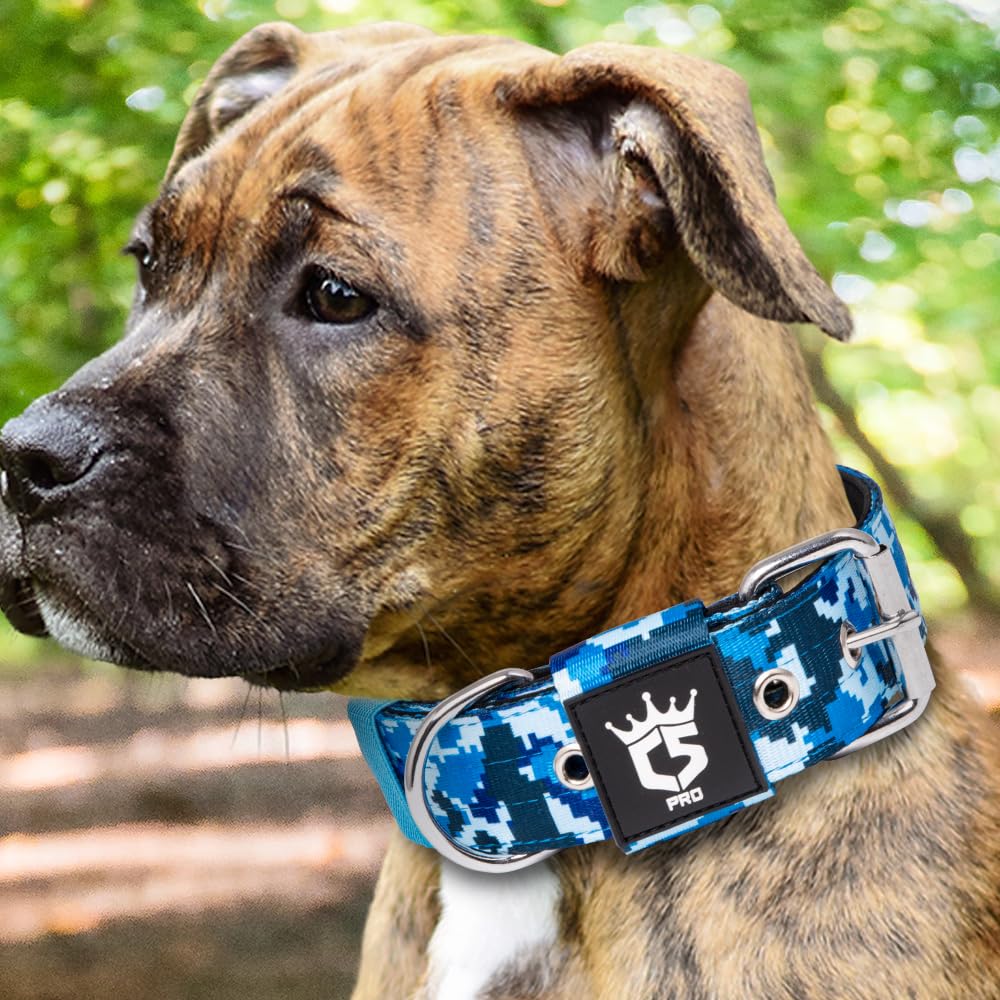 TSPRO Tactical Collar worn by a dog in camo blue for comfortable, controlled outings.