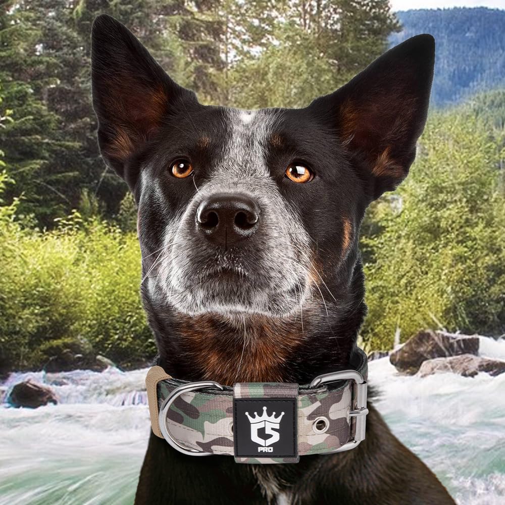 tspro tactical dog collar ideal for outdoor activities and training.
