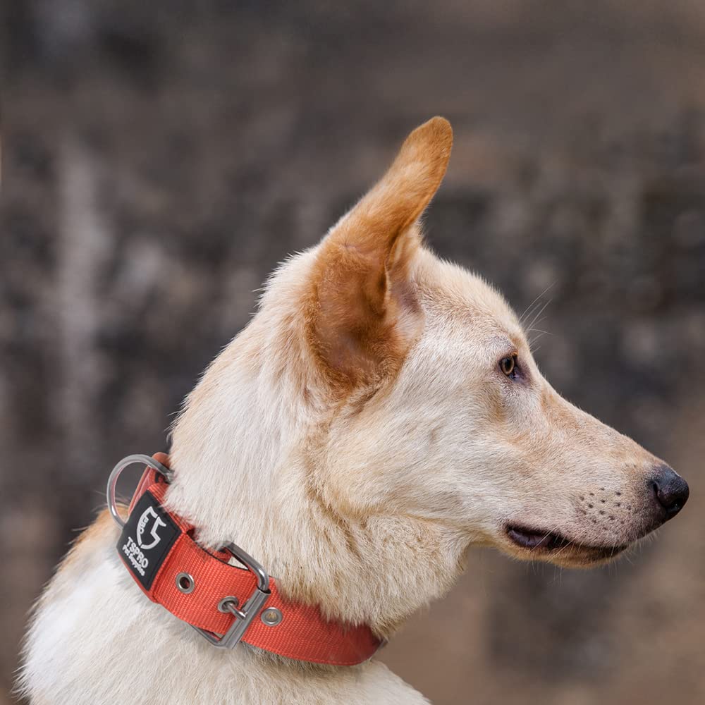 TSPRO orange tactical collar visibility for outdoor trips and training
