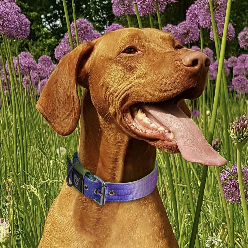 TSPRO quality control and support highlighted for reliable pet gear.