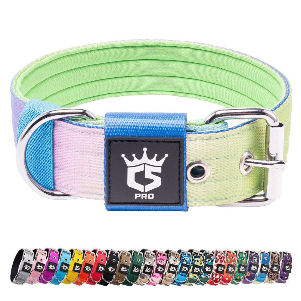 TSPRO Tactical Dog Collar Rainbow M with rainbow pattern for durable daily walks