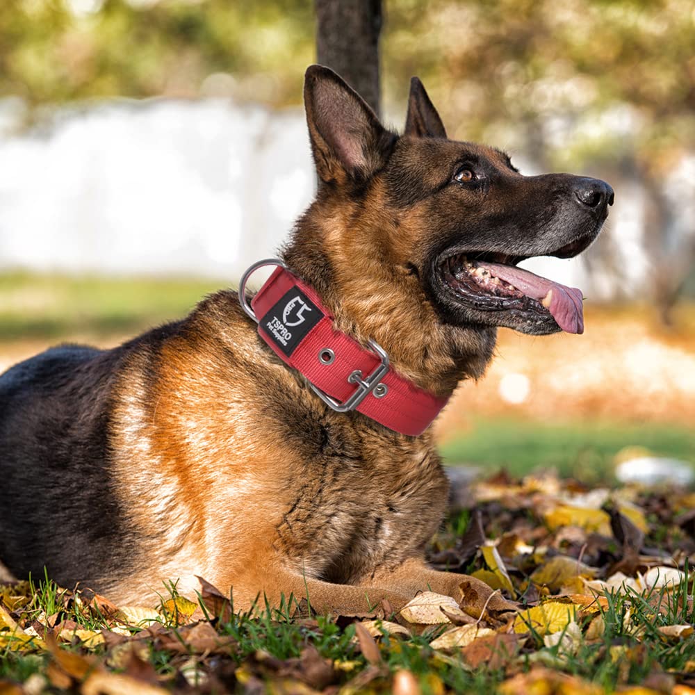 TSPRO tactical dog collar red M size for medium to large dogs
