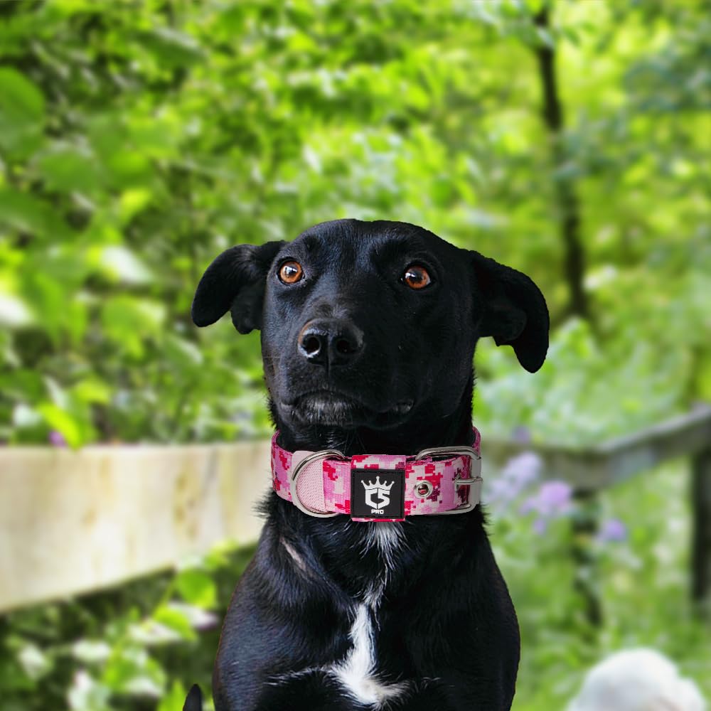 TSPRO tactical dog collar size chart shows fits from small to large.