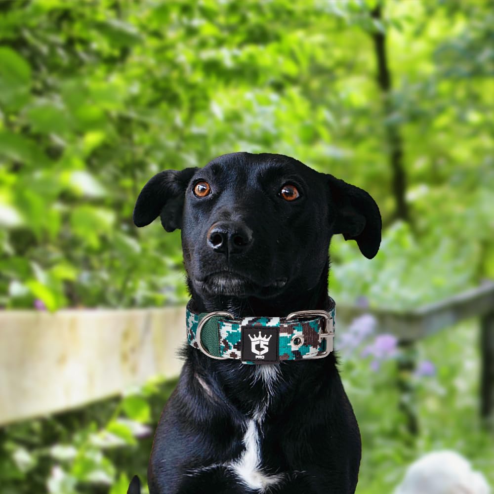 TSPRO tactical dog collar size range for small to large dogs with adjustable fit