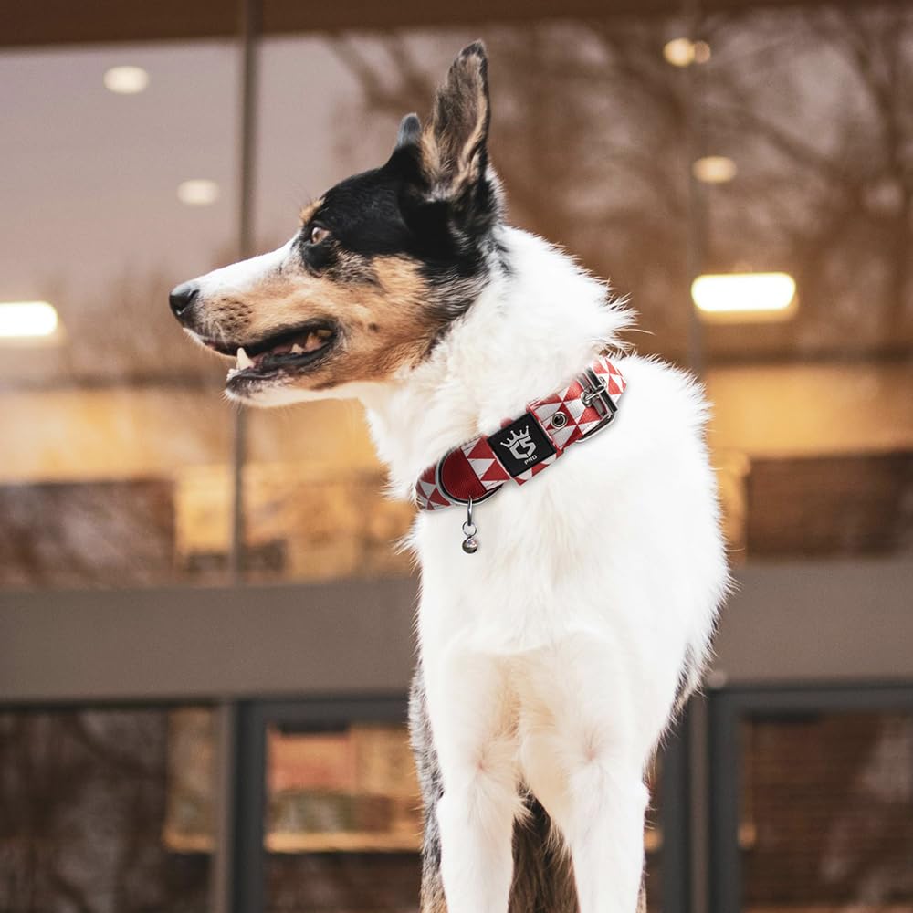 TSPro Tactical Dog Collar size range helps fit medium to large dogs.