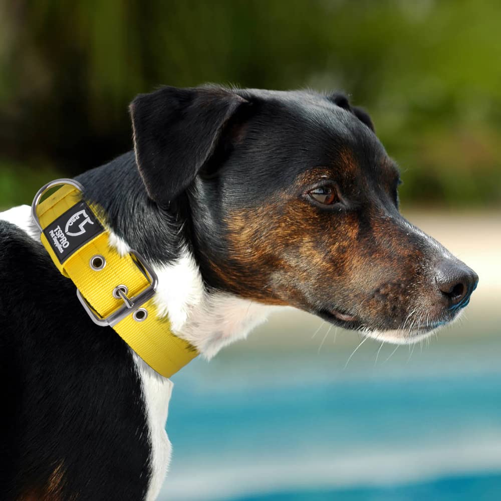 TSPRO Tactical Collar Yellow L ideal for medium to large dogs during patrol hikes.