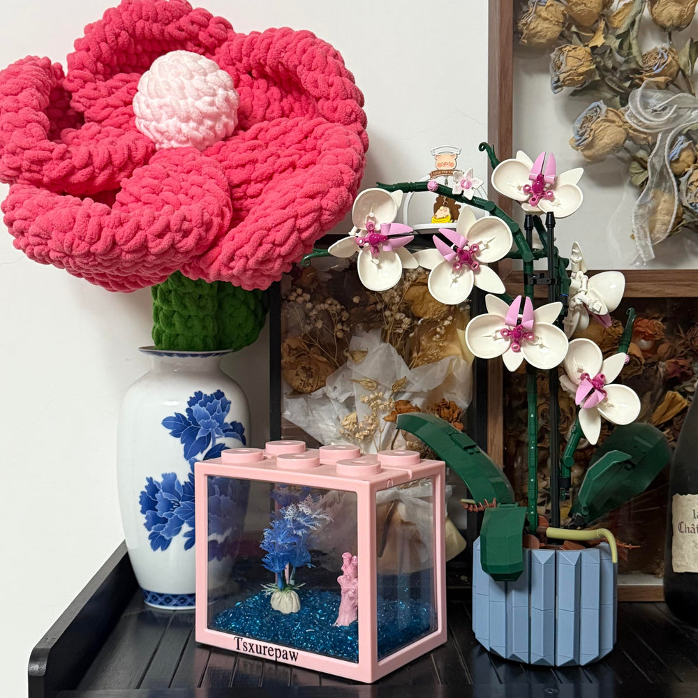 Tsxurepaw seaweed balls use, ideal for tiny aquatic life viewing
