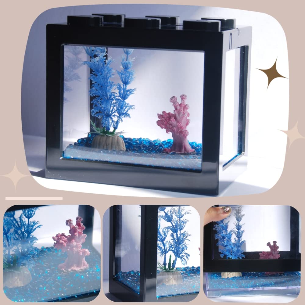 Tsxurepaw viewing box lets you enjoy moss balls and seaweed.