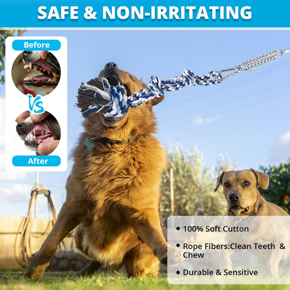 TT TRSMIMA dog tug action outdoors highlights engaging fetch and muscle-building play.