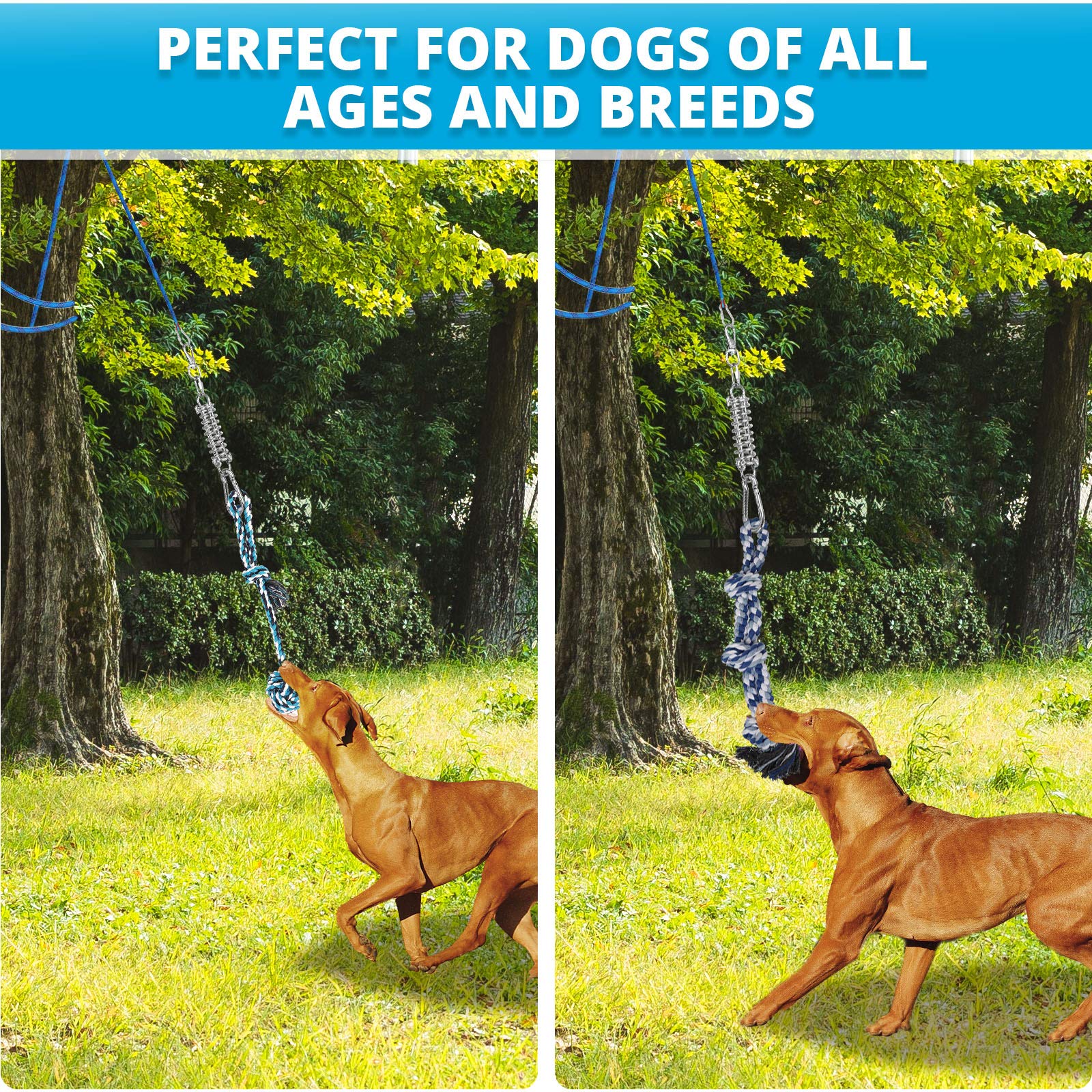TT TRSMIMA puppy-friendly small rope toy supports gentle chewing and dental care.