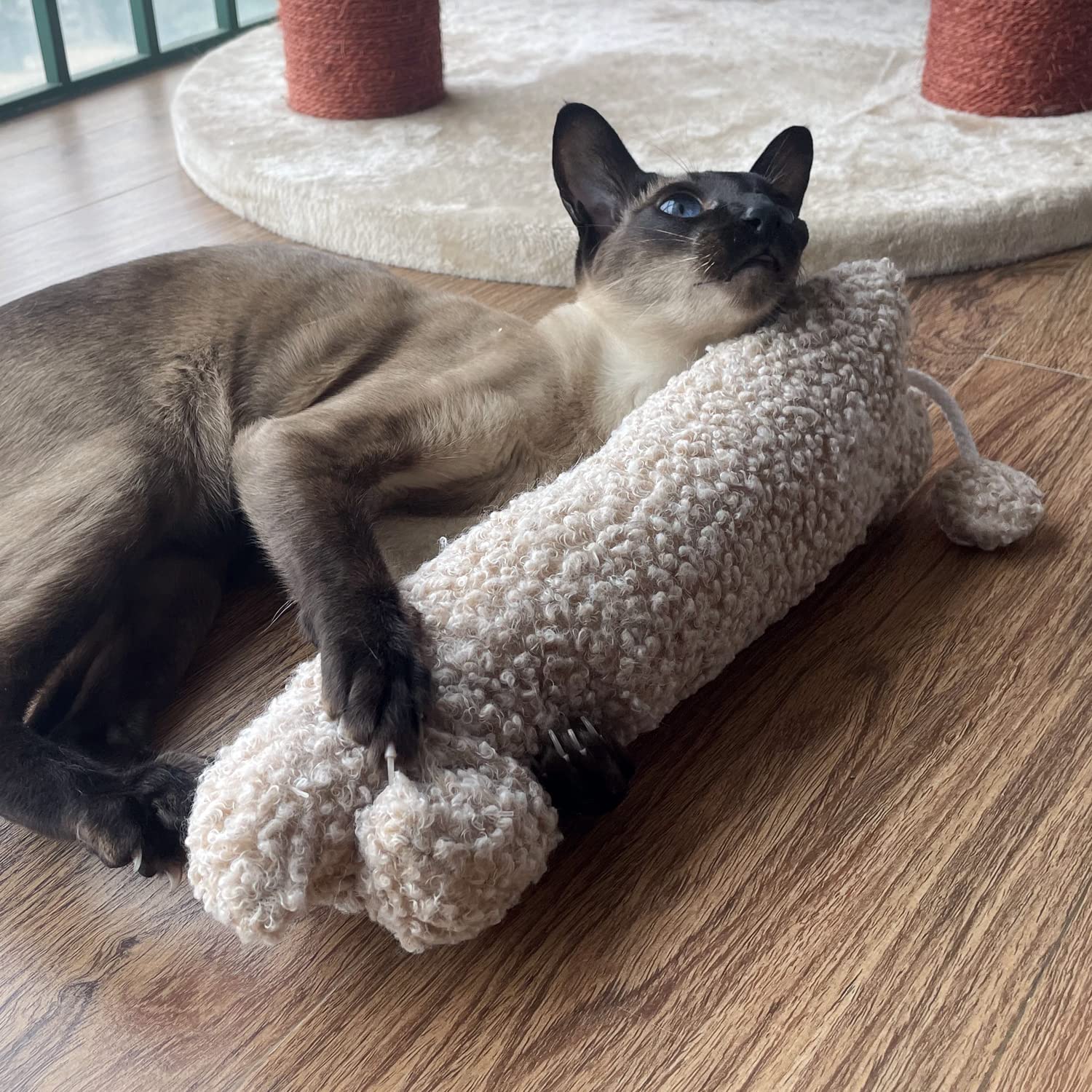 TTcat kitten and cat use image emphasizes suitability for all ages and playful enrichment.
