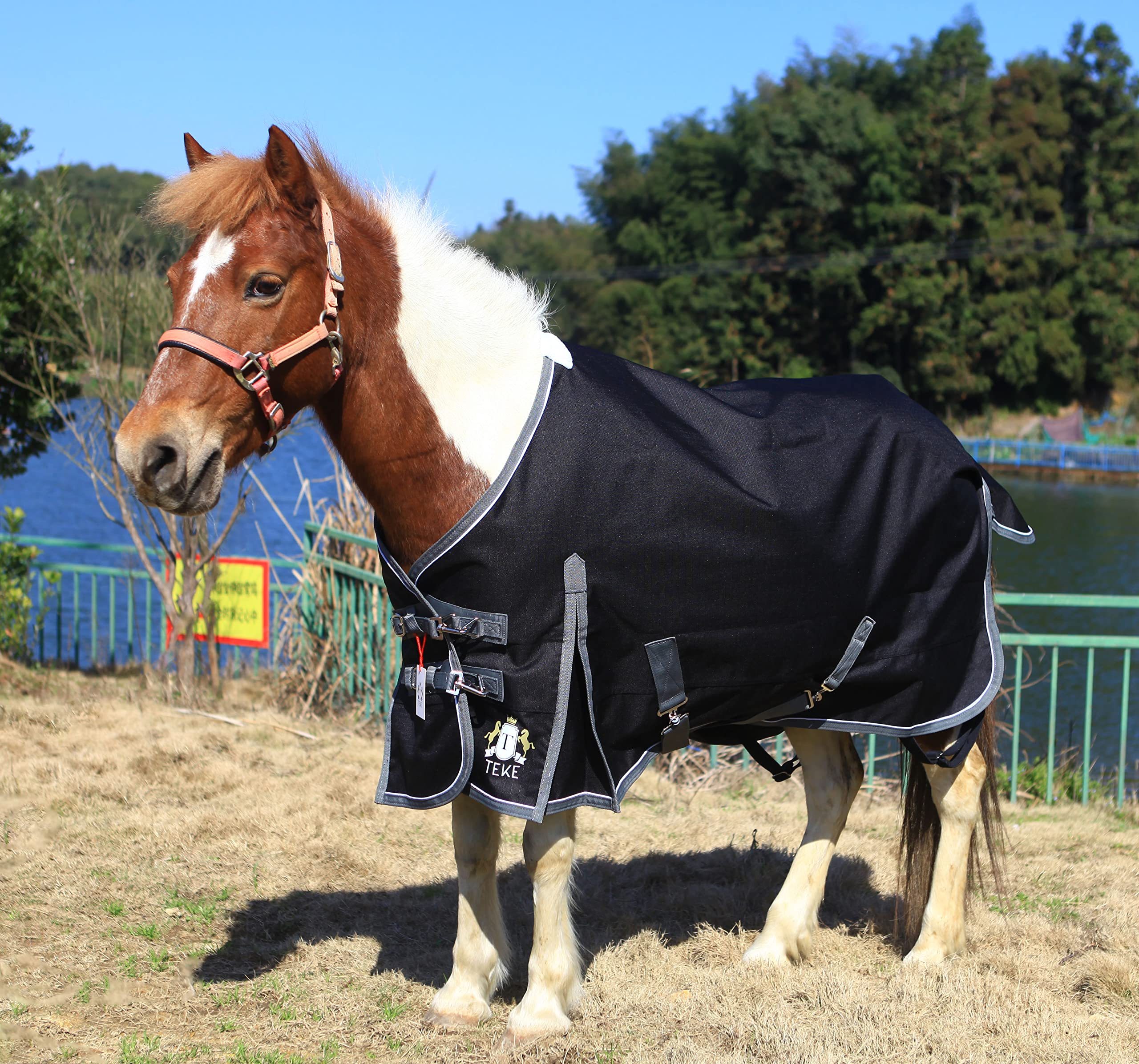 T TEKE Deluxe turnout blanket quick-clip closure demonstrates easy on/off and secure fit.