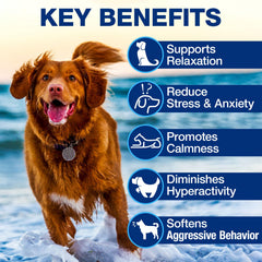 TTGUMMYAMAL chicken-flavored dog chews closeup suggests tasty relief during anxious moments.