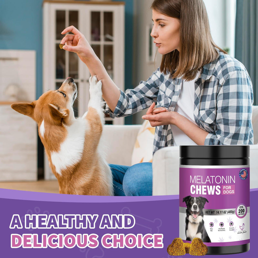 TTIXRL Chicken flavor melatonin dog chews on a countertop calming pets