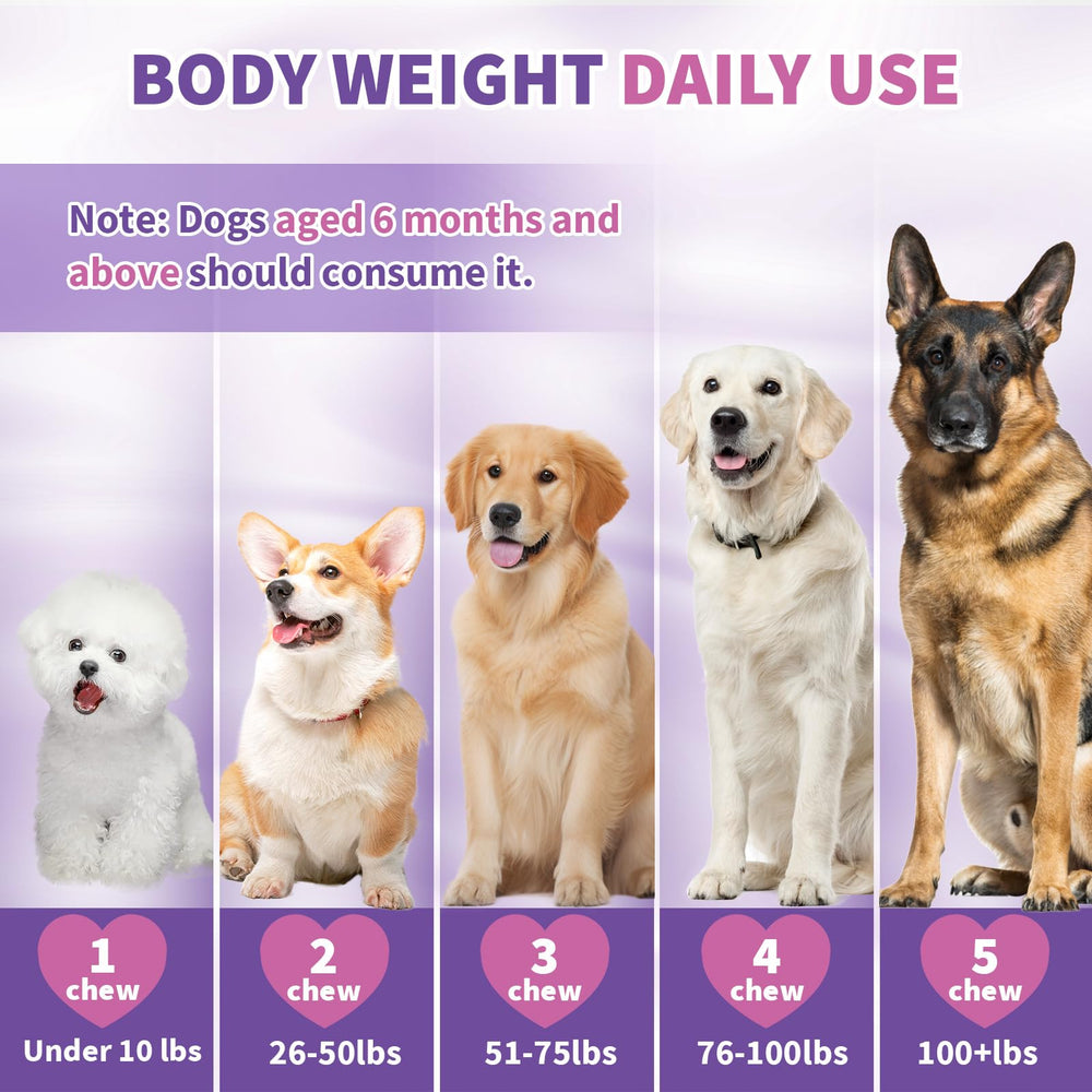 TTIXRL Dog melatonin treats on a leash during travel calm moments