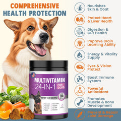 TTLXBL 24-in-1 dog vitamins chew closeup highlights daily joint and coat care.