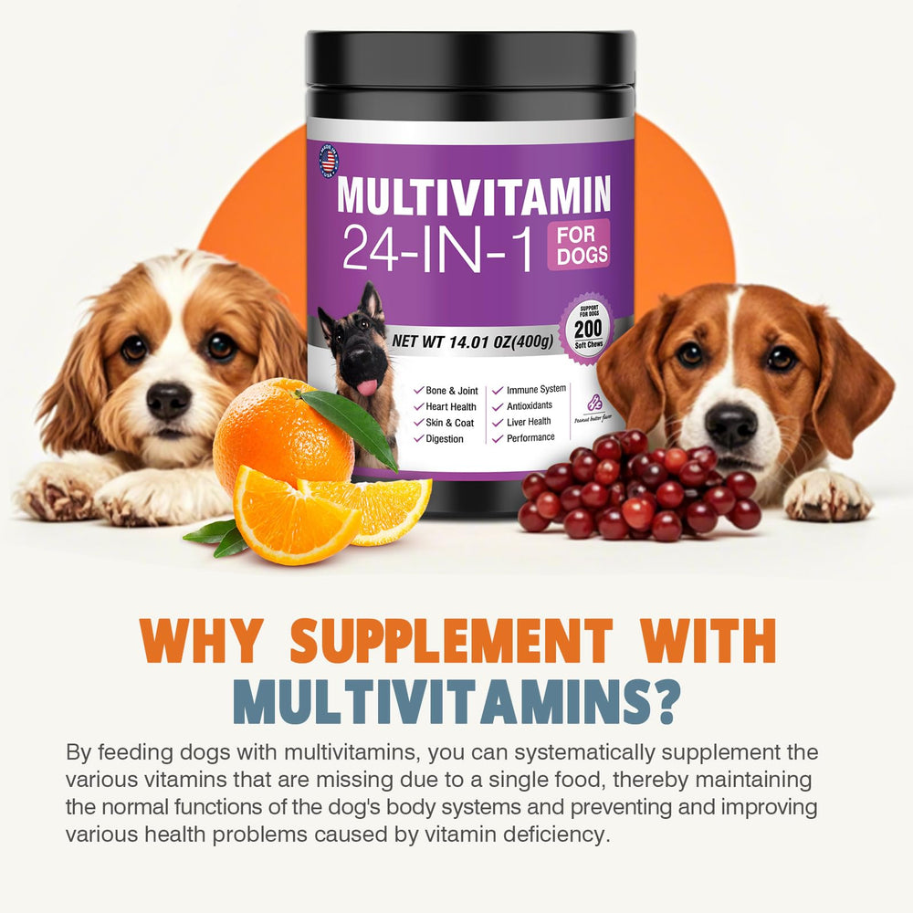 TTLXBL 24in1 dog vitamins jar on table signaling joint, immune, and heart support