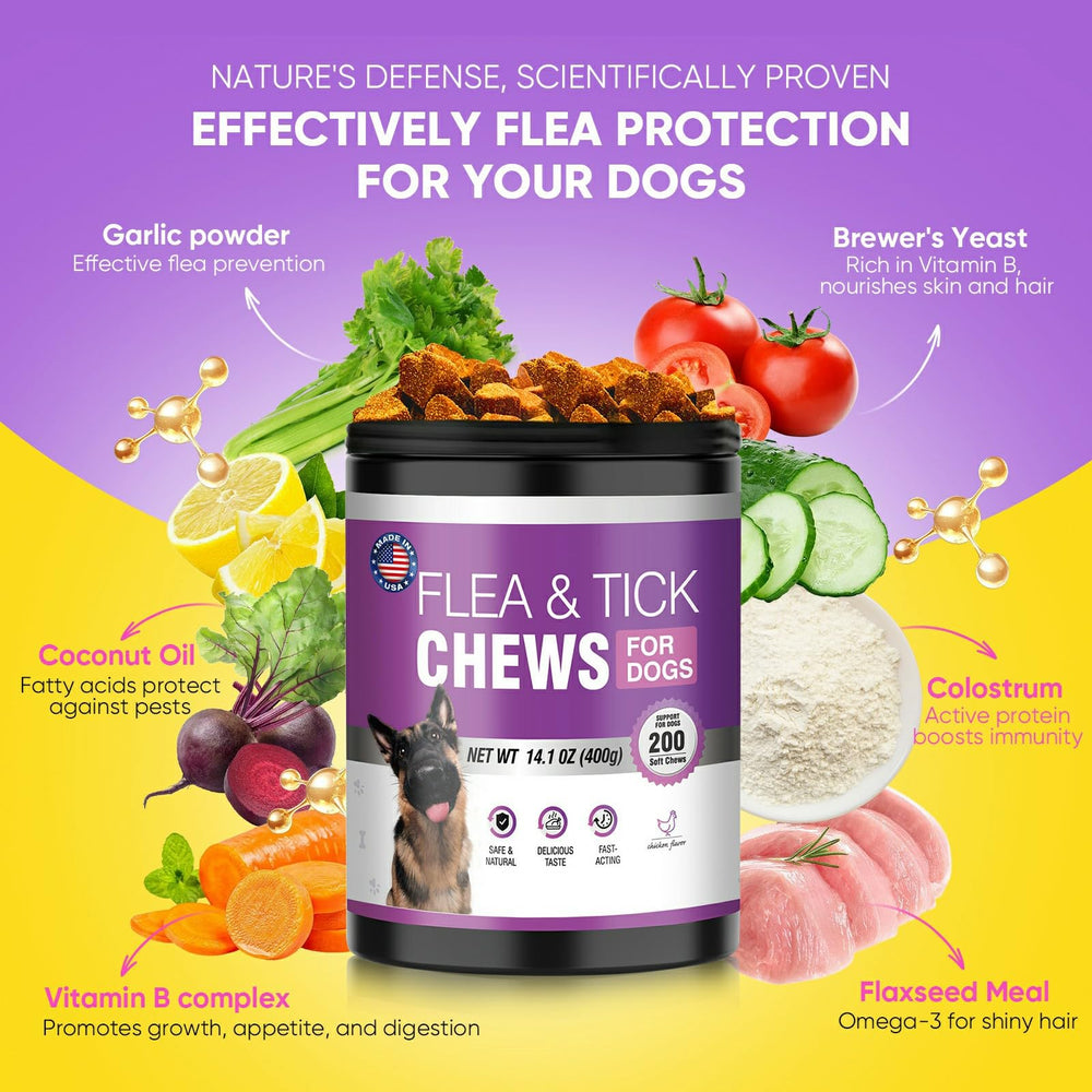 TTLXBL dog flea tick chews in hand for convenient daily use