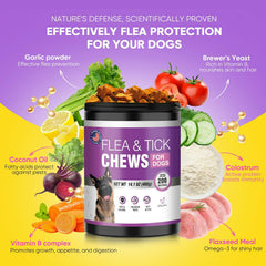 TTLXBL dog flea tick chews in hand for convenient daily use