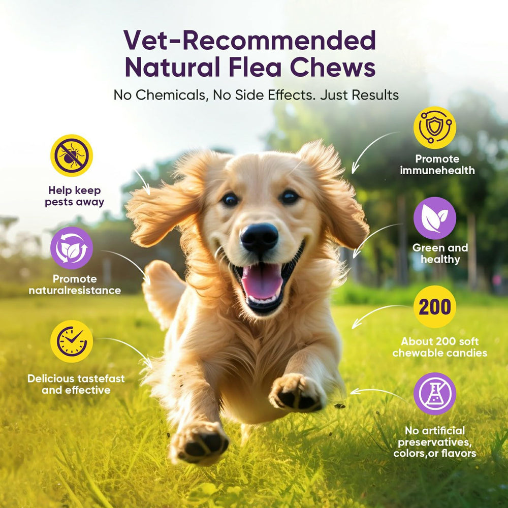 TTLXBL bottle packaging showing multi-month protection for breeds and ages