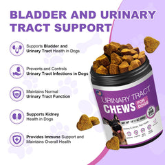 TTLXBL Dog UTI Cranberry Chews pour scene highlights easy daily dosing for bladder care.