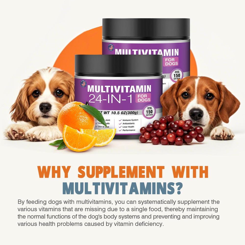TTLXBL vitamins probiotics image emphasizes digestive health and energy