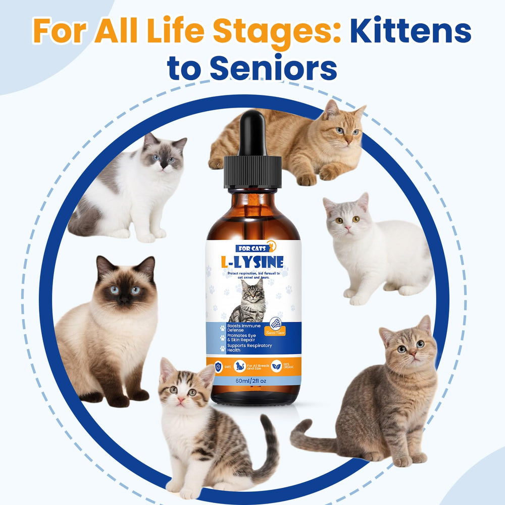 TTLXRI lysine digestive-support blend image highlights gut comfort and immunity
