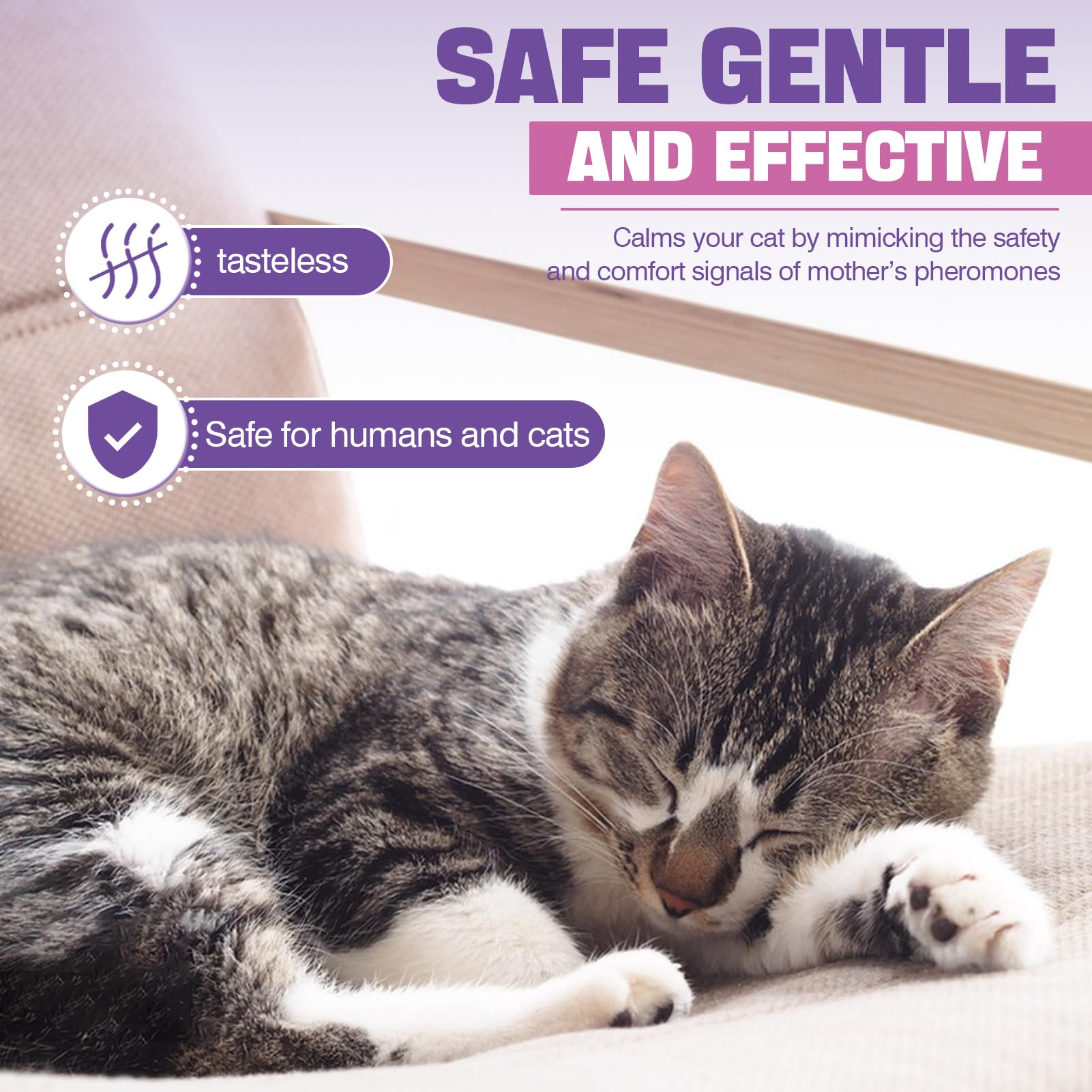TTLXRL cat pheromone diffuser refill in room where cat spends time.