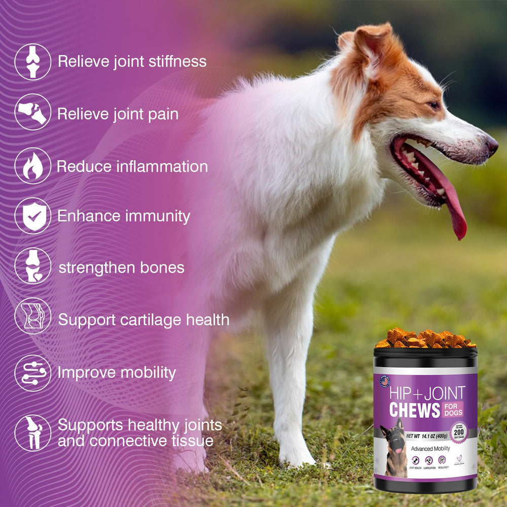 TTLXRL Glucosamine dog chews close-up reveals tasty chicken-flavored treats
