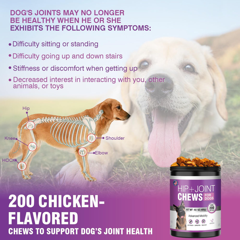 TTLXRL Glucosamine dog hip joint support illustration conveys stability